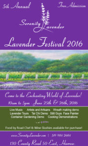 Lavender_Festival_Purple