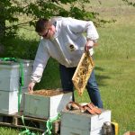 Work at our apiary