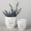 Classic lavender planters