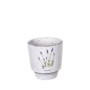 Small lavender planter