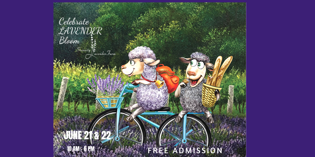 Lavender Festival 2025